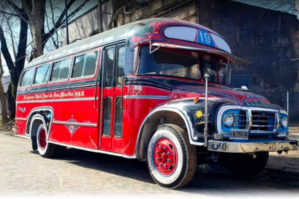 EL COLECTIVO SOCIAL… Y LA ISLITA DE LOS NIÑOS…