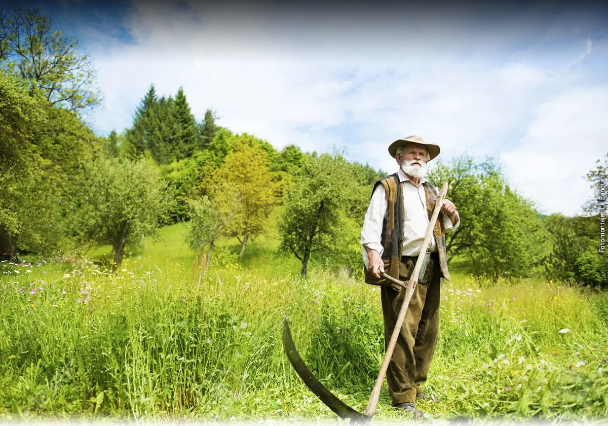 HACIA EL FIN DE LA TARDE