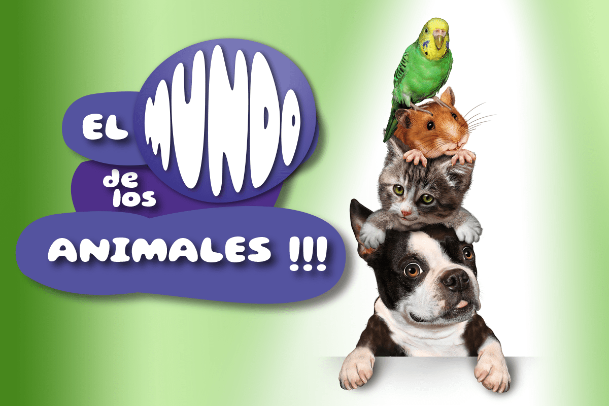 EL MUNDO DE LOS ANIMALES
