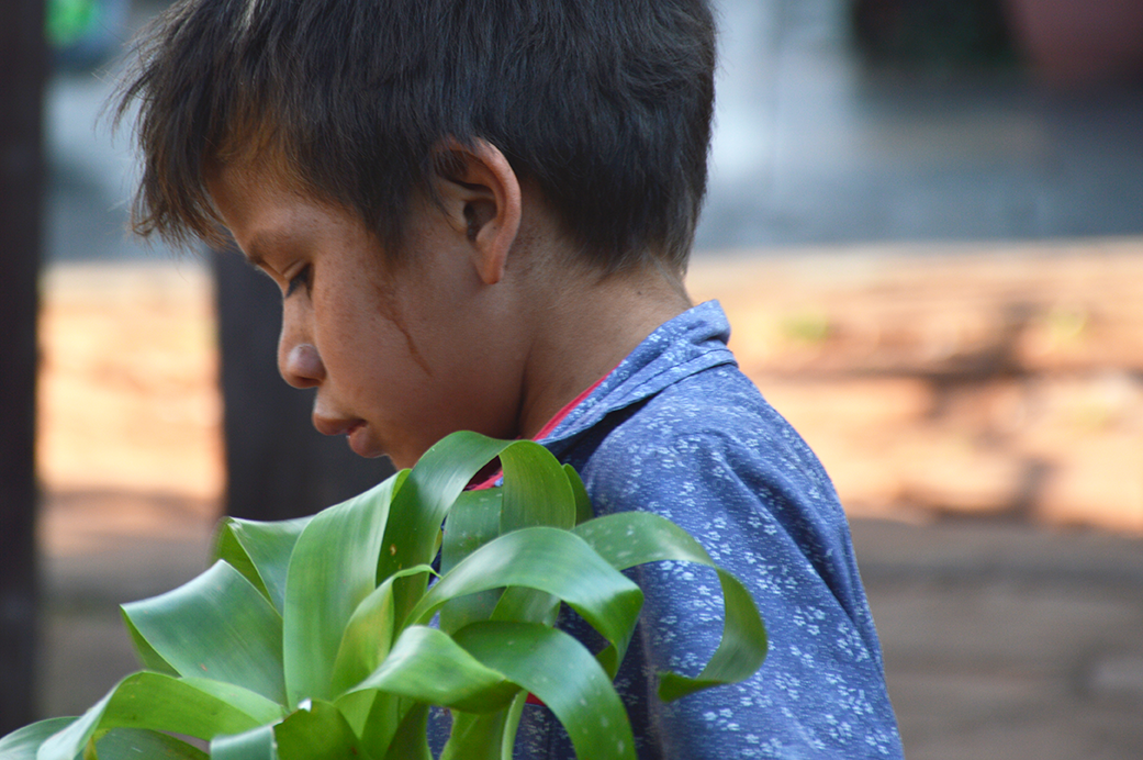 LOS VENDEDORES DE ORQUÍDEAS