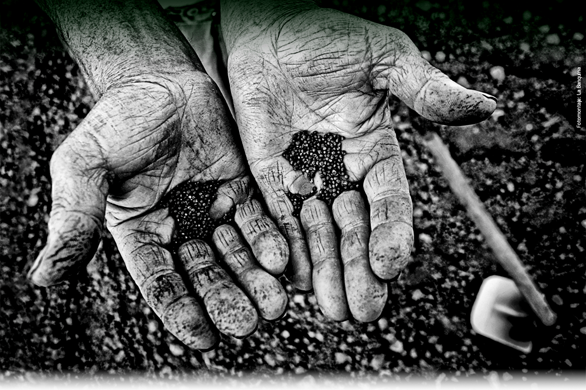 TIERRA FERAZ (CULTIVOS Y VIAJES)