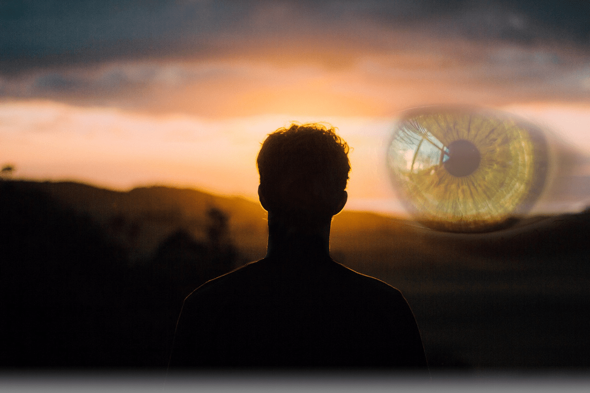 IMPURO ARDER DEL VERANO EN LA HIERBA